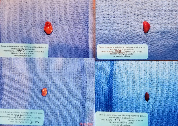 A Year In The&nbsp;Life….